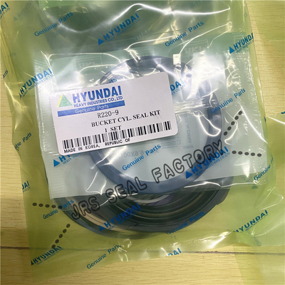 R220 9 R210 7 बूम आर्म बकेट R225 हाइड्रोलिक सिलेंडर सील किट
